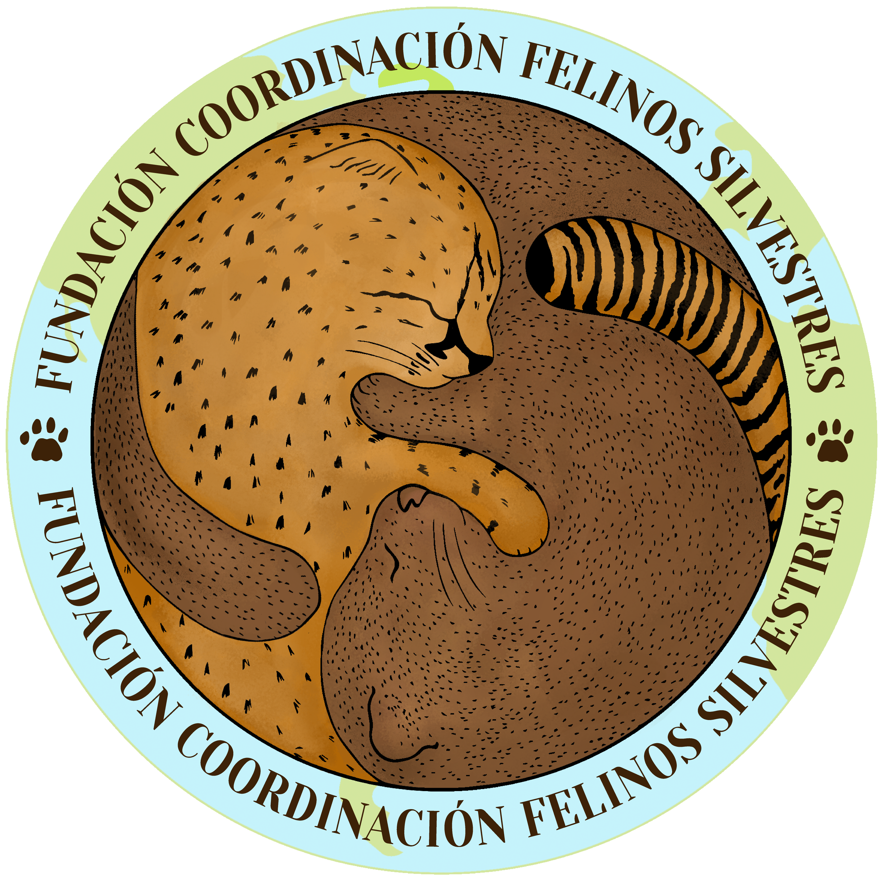 Fundación Coordinación Felinos Silvestres