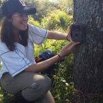 Chica instalando cámara trampa en tronco de árbol grande a baja altura Argentina