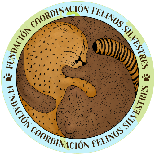 Logo FCFS Fundación Coordinación de Felinos Silvestres Chile